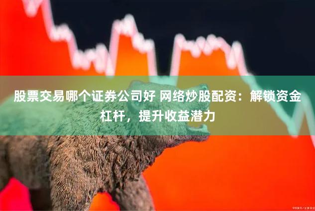 股票交易哪个证券公司好 网络炒股配资：解锁资金杠杆，提升收益潜力