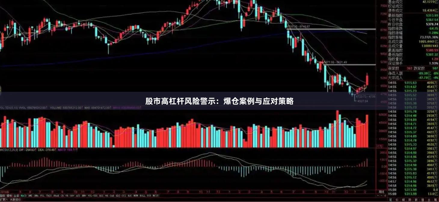 股市高杠杆风险警示：爆仓案例与应对策略